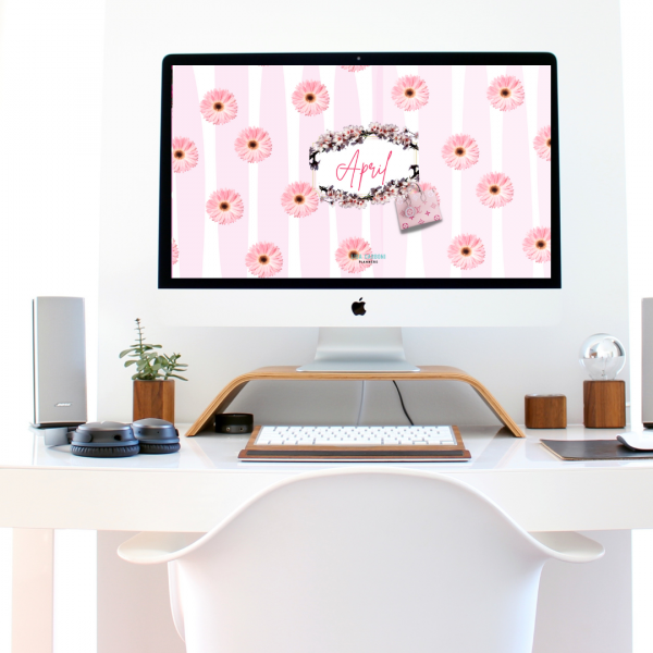 Desktop pink flower